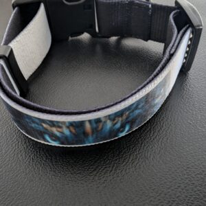 Dog’s Eyes Collar Small Dogs