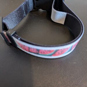 Watermelon Dog Collar Large Dogs