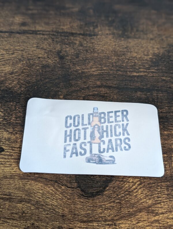 Cold Beer Hot Chicks Fast Cars Magnet